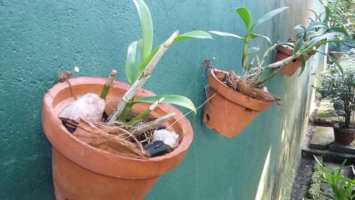 Landscape Design Ideas – Garden Design for Small Gardens in Sri Lanka Landscape Design Ideas - Garden Design for Small Gardens in Sri Lanka