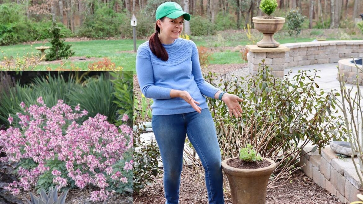 Diamonds in the Garden - An Experiment | Gardening with Creekside