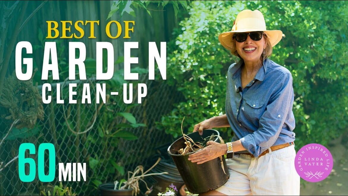 The Best of Spring Garden Cleanup (from the Archives) The Best of Spring Garden Cleanup (from the Archives)