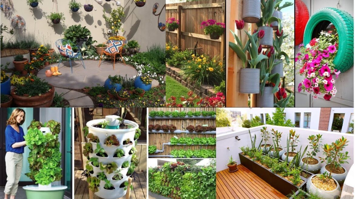 Gardening ideas for home |Top 100 Front and Back Yard Garden Decoration Ideas