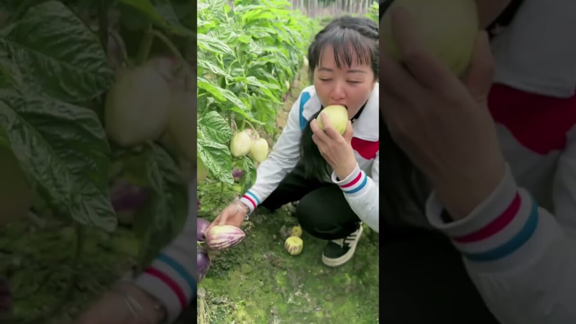 Presentation fruit in Farm, Eat fresh fruit on trees part 168 #short #fruit