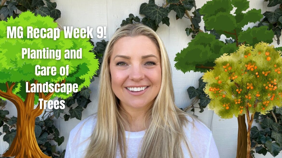 Master Gardeners Week 9! Pruning and Care for Landscape Trees :: PLUS Some Gardening Myths Debunked! Master Gardeners Week 9! Pruning and Care for Landscape Trees :: PLUS Some Gardening Myths Debunked!