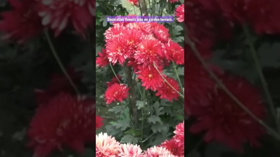 Decoration Flowers Tree. Garden Design Ideas. #viral ##shorts #flowers #gardening #design .