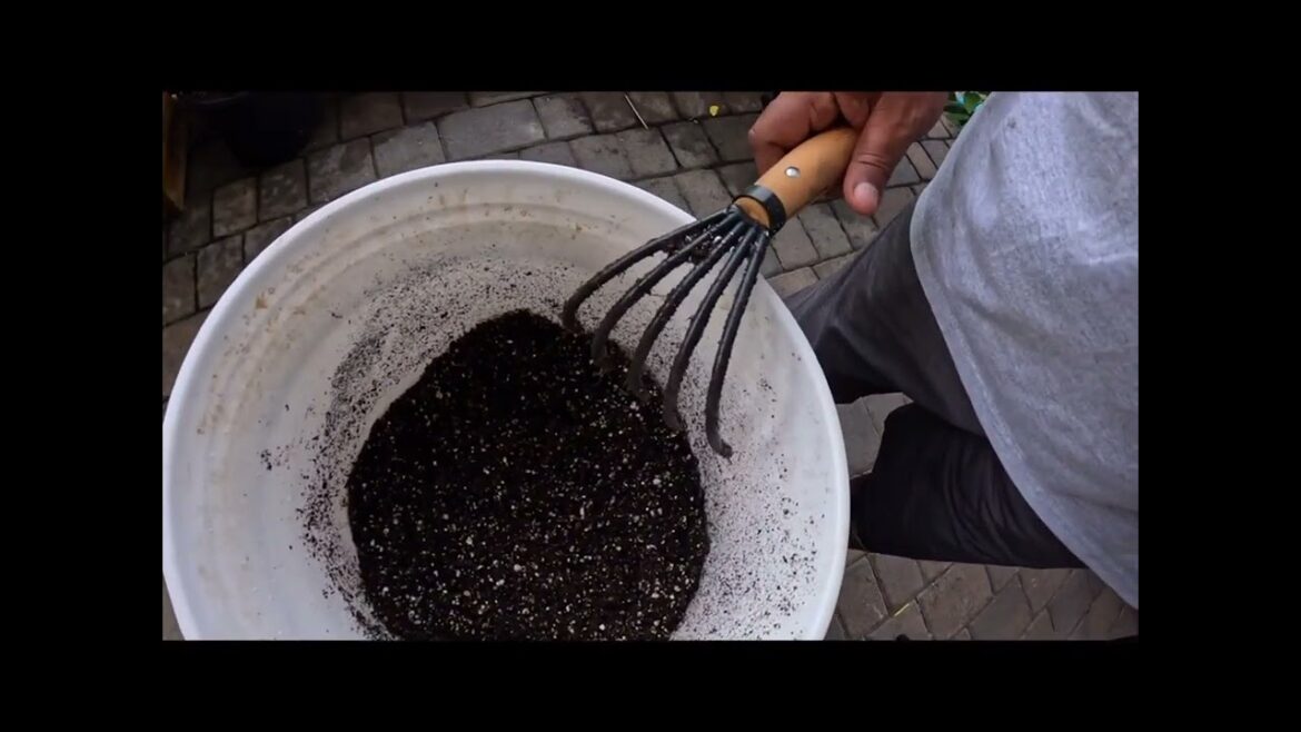 How to make your OWN PREMIUM POTTING SOIL cheap and easy How to make your OWN PREMIUM POTTING SOIL cheap and easy