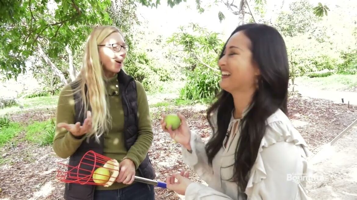 Food Plants at San Diego Botanic Garden