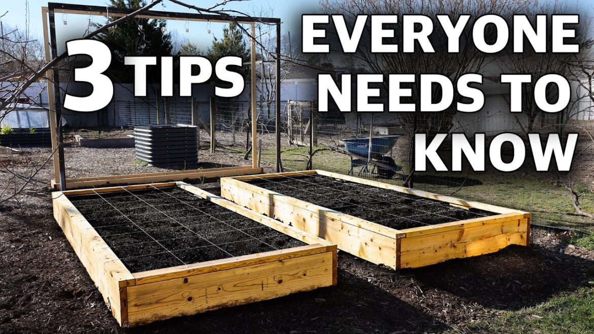 James Prigioni: How to Prepare your Garden for Spring, 3 Important Tips EVERYONE NEEDS TO KNOW! How to Prepare your Garden for Spring, 3 Important Tips EVERYONE NEEDS TO KNOW!