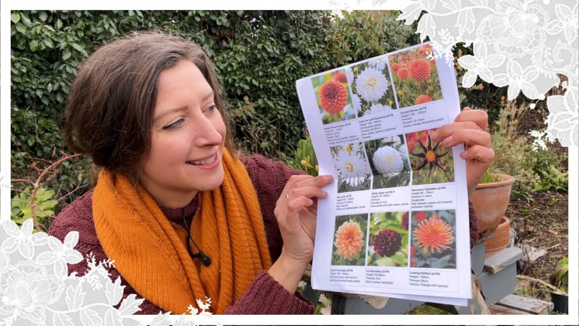 Dahlia Varieties I’m Growing in 2023 Dahlia Varieties I'm Growing in 2023