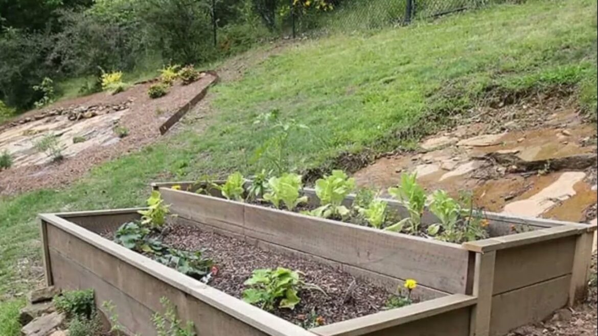 Hillside Landscaping Ideas for Slope yard