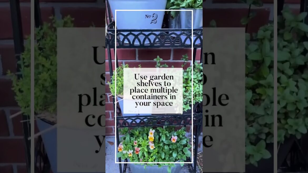 Container Gardening Hacks|Making The Most Of Your Small Space #containergardening #gardentips Container Gardening Hacks|Making The Most Of Your Small Space #containergardening #gardentips