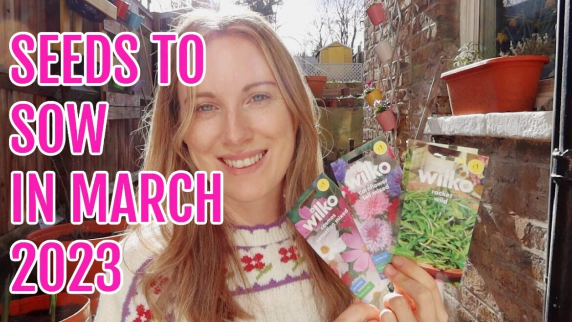SEEDS TO SOW IN MARCH 2023 / ALLOTMENT GARDENING FOR BEGINNERS SEEDS TO SOW IN MARCH 2023 / ALLOTMENT GARDENING FOR BEGINNERS