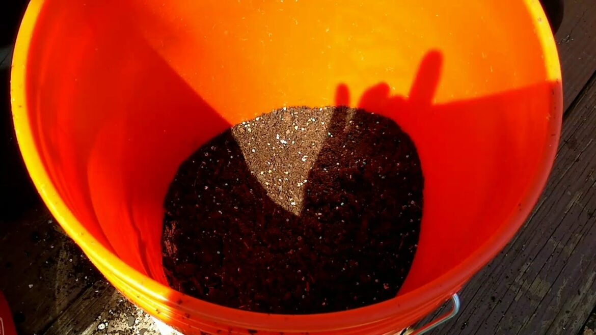 DIY Portable Container Garden