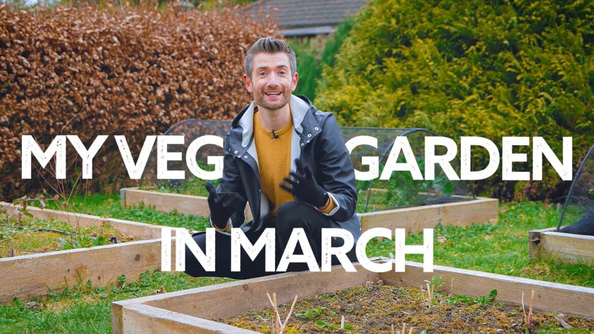 March Vegetable Garden Tour | What’s Growing Now! March Vegetable Garden Tour | What's Growing Now!