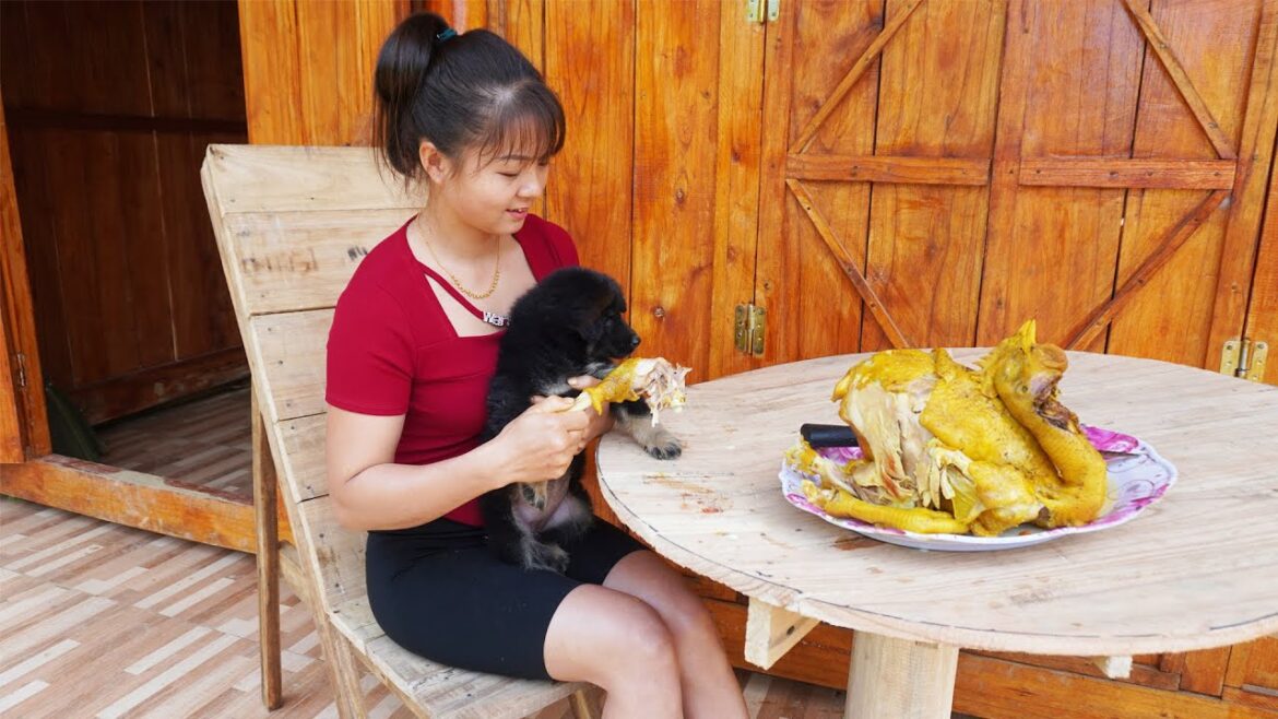 A Day Of Vegetable Gardening, Make Gourds – Befriend the puppy | Free Bushcraft, Ep124 A Day Of Vegetable Gardening, Make Gourds - Befriend the puppy | Free Bushcraft, Ep124