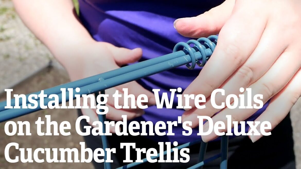 Installing the Wire Coils on the Gardener's Deluxe Cucumber Trellis