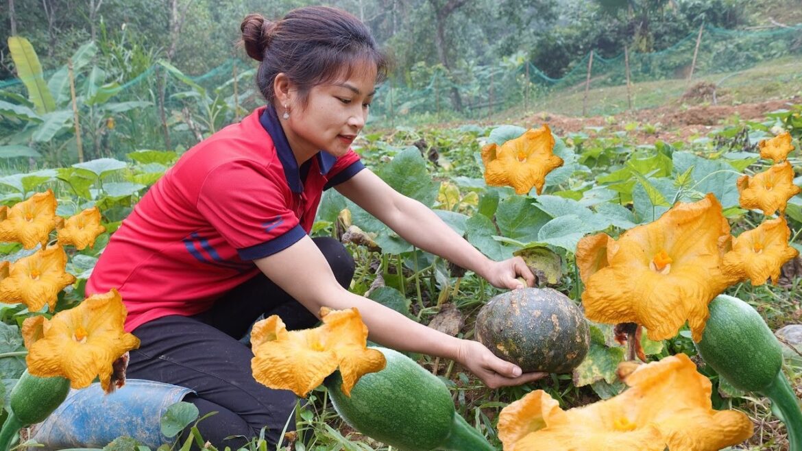 Vegetable gardening process, Harvesting vegetables Jena Farm, Building a green forest life Ep.119