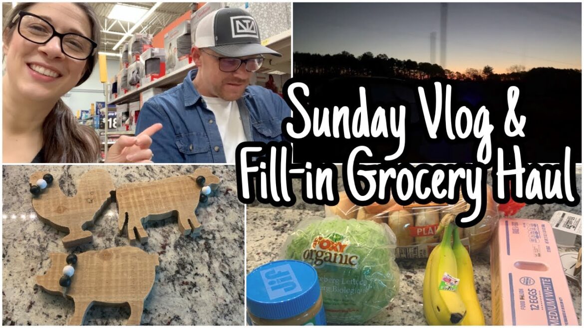 Fill-in Grocery Haul | Spend the Day with Me Sunday Vlog | Day in the Life | Garden Plans