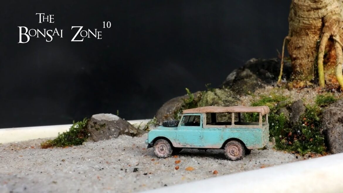 My Bonsai Landscape Challenge, Part 4B, The Bonsai Zone, Feb 2023