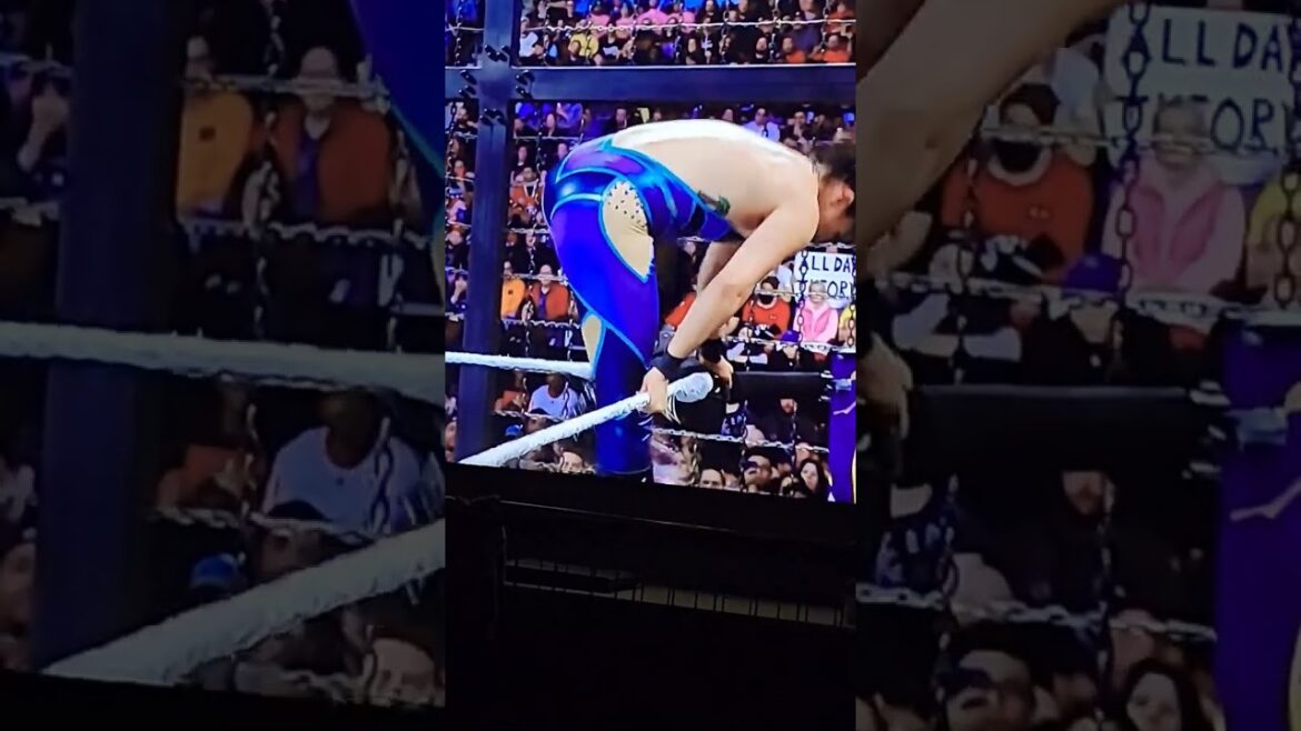 #WWE WOMENS Elimination Chamber Match #Shortsfeed #shorts #youtubeshorts #wwe #viral #wwe #short