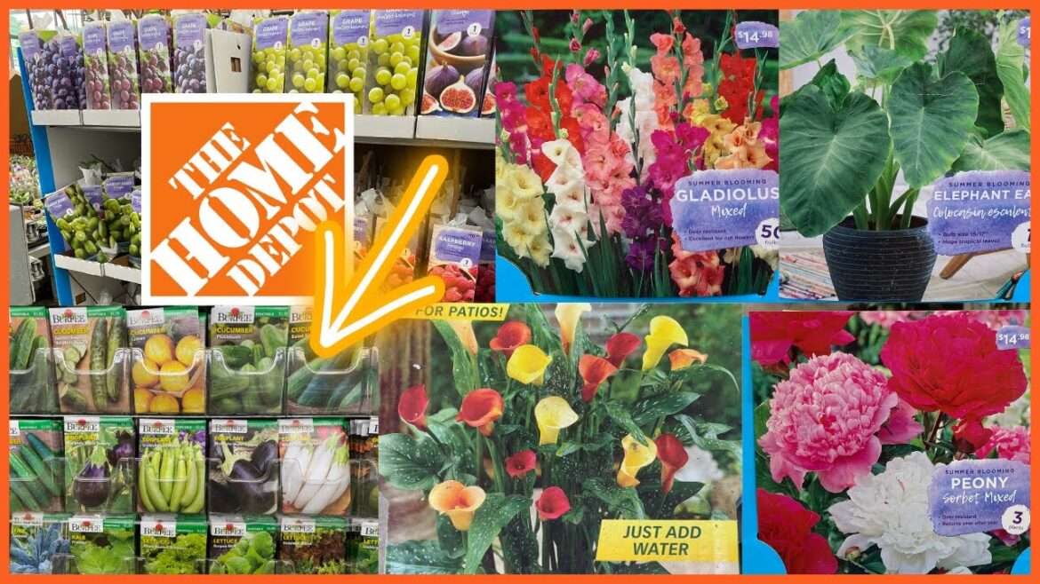 THE HOME DEPOT GARDEN CENTER MARCH 2023 SUMMER BLOOMING BULBS EATABLE SEEDS ALOE VERA PLANT🥰