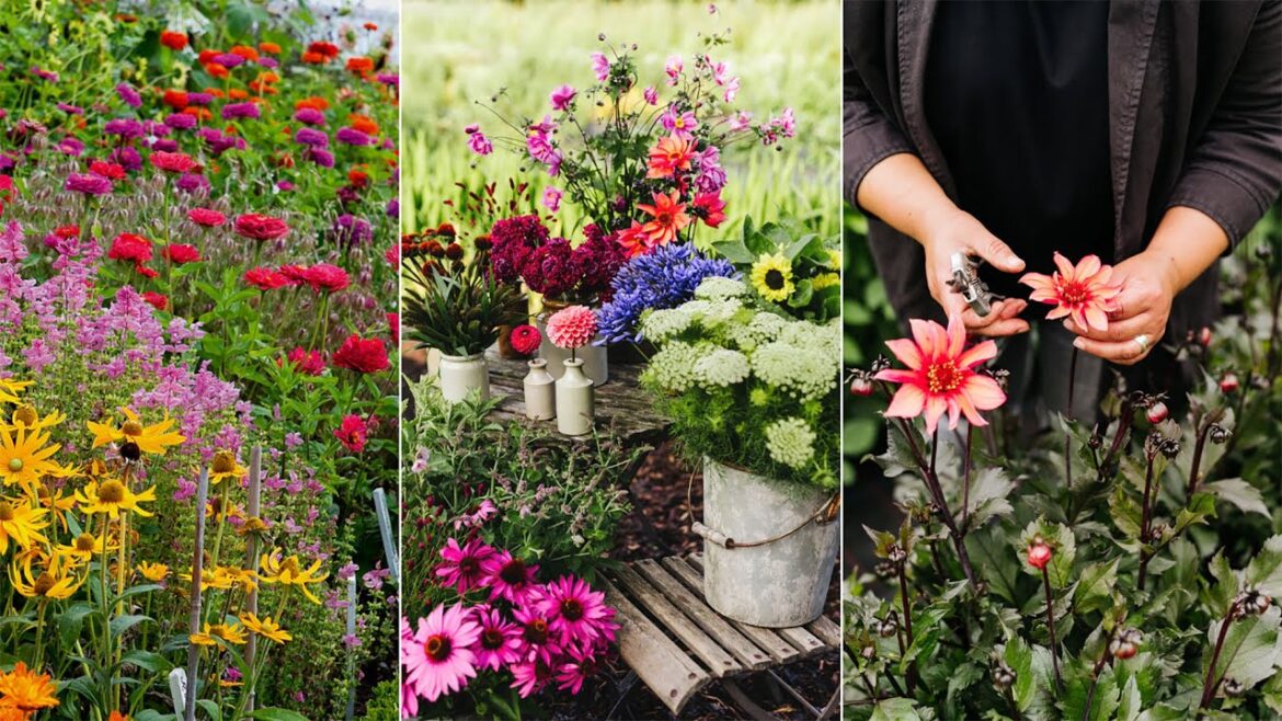 Top 10 Birck Flower Beds Design Decor ideas ๐บ๐ป๐น๐ท Top 10 Birck Flower Beds Design Decor ideas ๐บ๐ป๐น๐ท