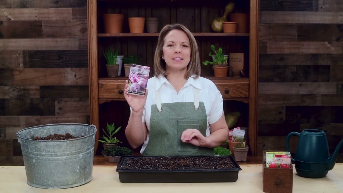 Sow Right Seeds | Grow Detroit Dark Red Beet from Seed