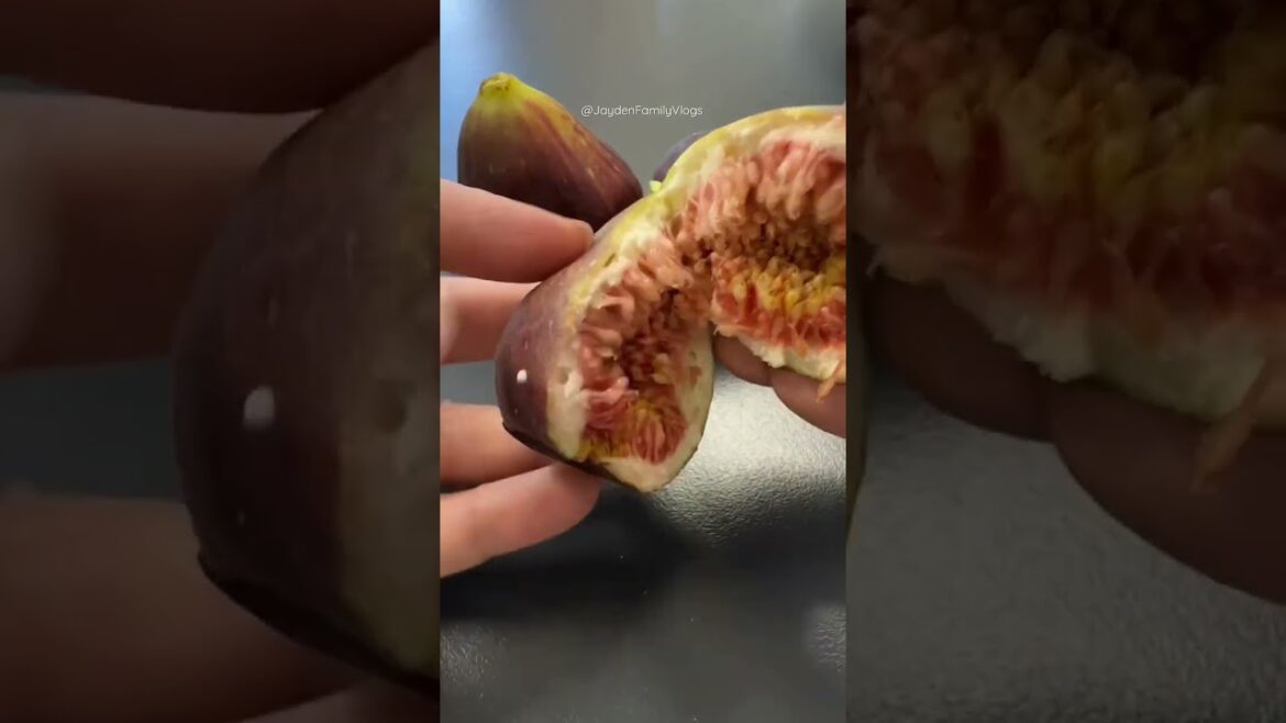 Inside a Fig fruit 😱 #shorts #satisfying #fruit #food #figs #fruitcutting #oddlysatisfying