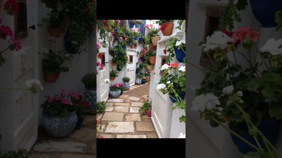 Beautiful Garden Design Ideas Part 3 #gardenplants #gardenshorts #niteshmeenaplants #rareflower