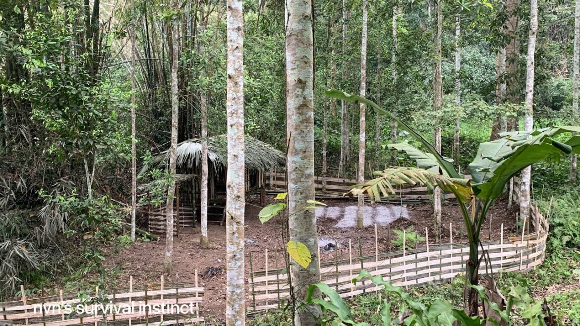 Survival alone . vegetable gardening. complete shelter. nvn’s survival instinct part 19 :