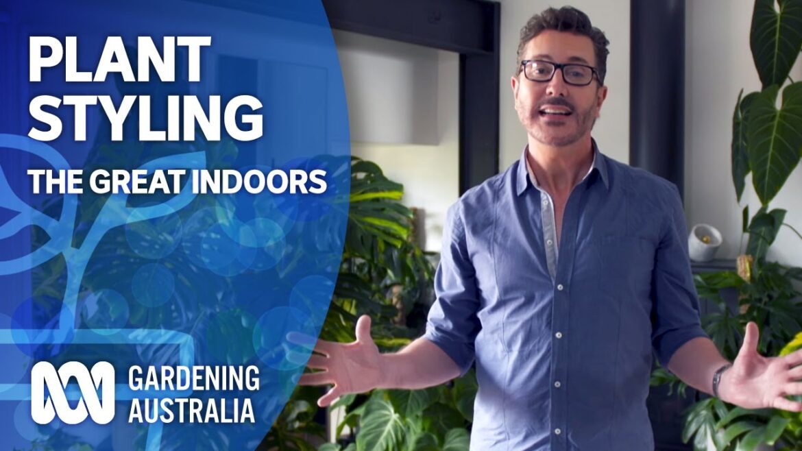 Make indoor plants pop with these style and design tips | The Great Indoors | Gardening Australia Make indoor plants pop with these style and design tips | The Great Indoors | Gardening Australia