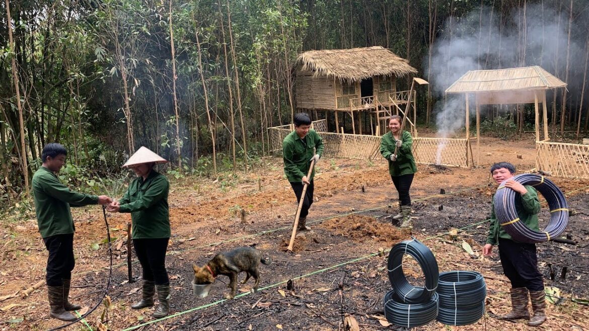 The couple pull the pipe to supply clean water to the farm,hoe to make a new vegetable garden