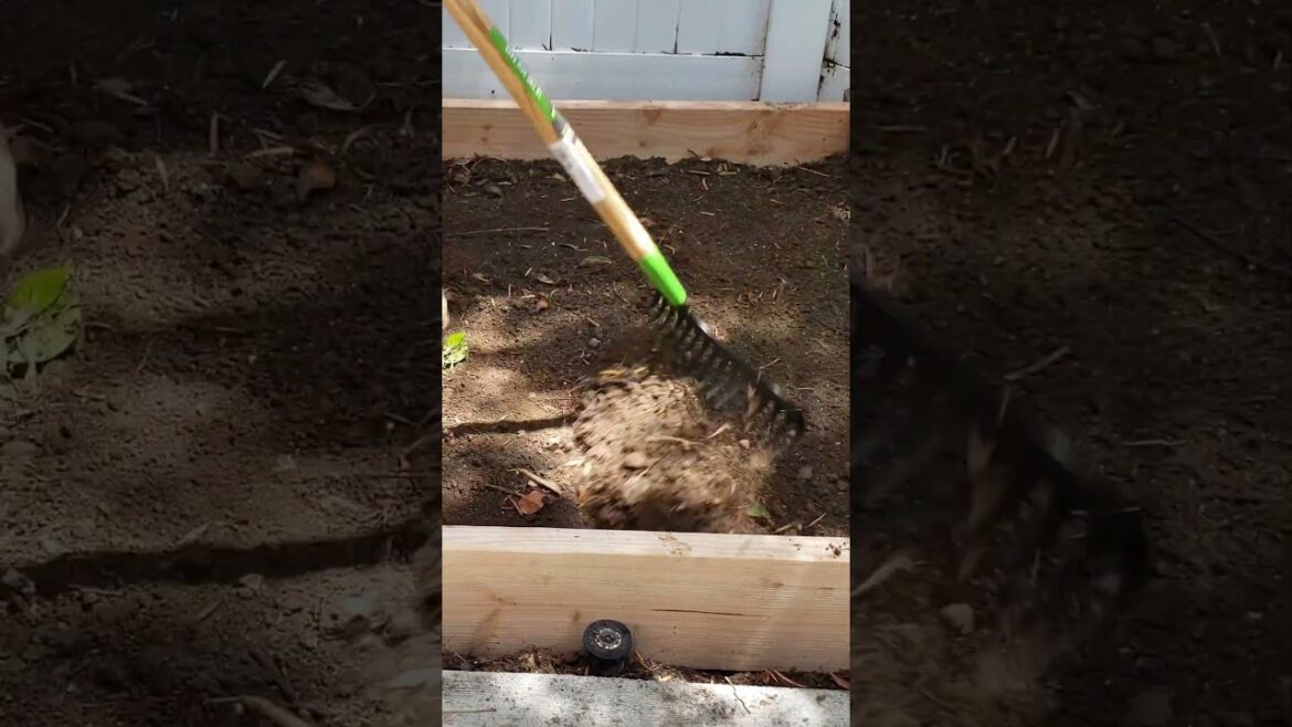 Raised Bed Ideas : Cheap & Easy Raised Bed Garden EZ #shorts