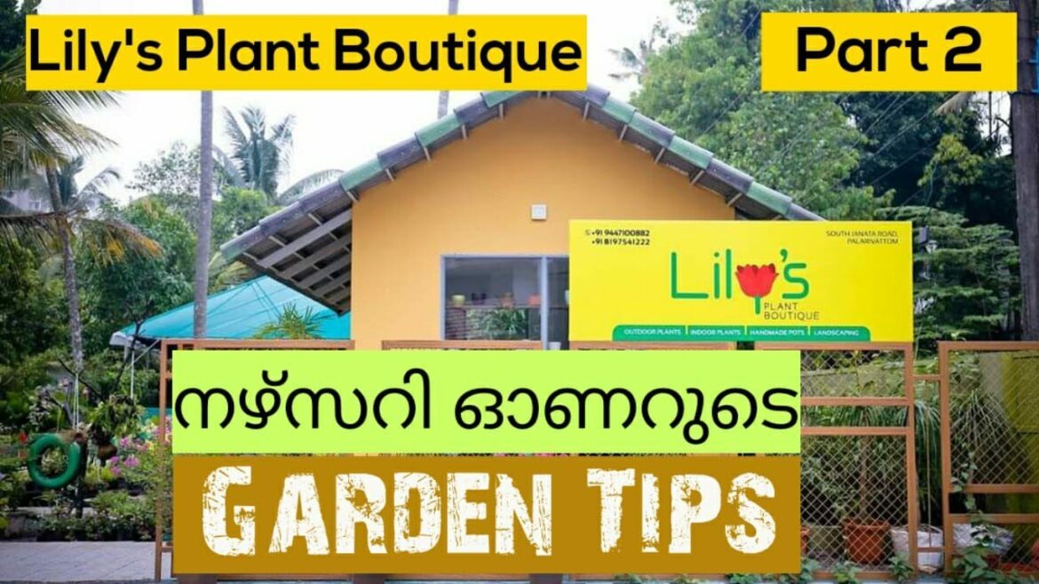 Garden tour Part2- Lily’s Plant Boutique/ഗാർഡൻ ഒരുക്കാൻ അറിയേണ്ടത്/Garden Tips/gardening malayalam Garden tour Part2- Lily's Plant Boutique/ഗാർഡൻ ഒരുക്കാൻ അറിയേണ്ടത്/Garden Tips/gardening malayalam