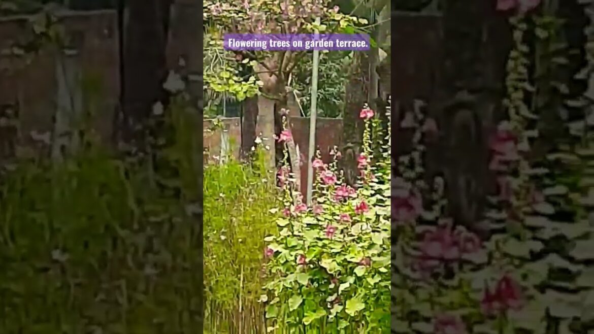 Flowering trees on garden terrace. design ideas. #gardening #design #ideas #flowers #viral .