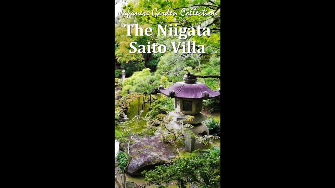 Beautiful unit of the Japanese garden and building #shorts