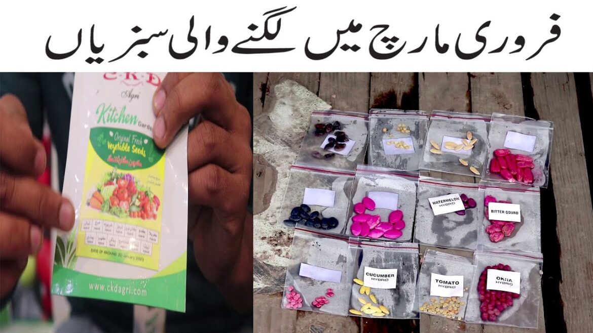 February & March Mei Lagne Wali Vegetables / February & March Mei Kon c Veges grow Kar Sakte Hai. February & March Mei Lagne Wali Vegetables / February & March Mei Kon c Veges grow Kar Sakte Hai.