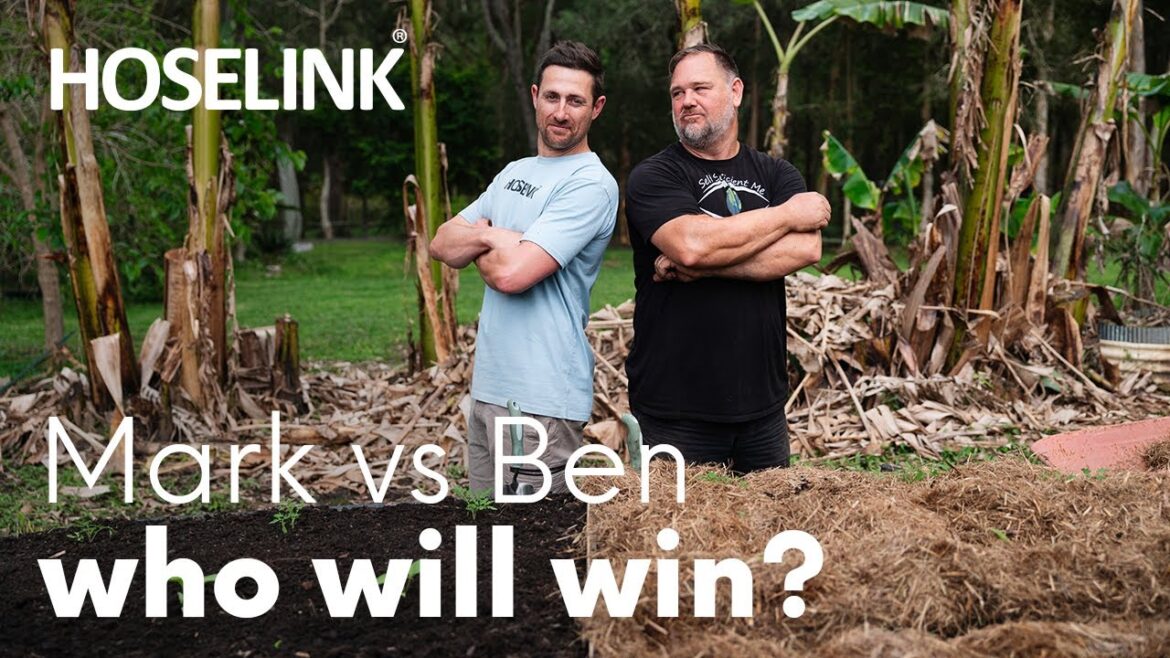 🥕 Who will grow the best veggies? Hoselink Horticulturist Ben or Mark from Self Sufficient Me! 🍅
