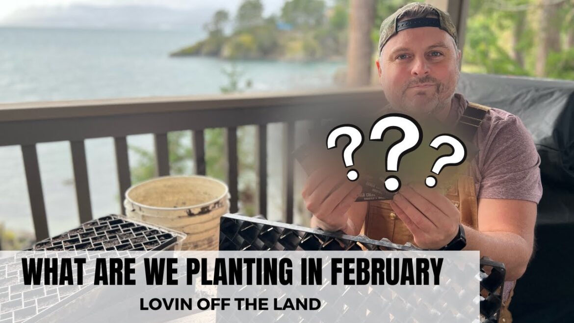 FEBRUARY - WHAT TO PLANT // VEGETABLE GARDENING