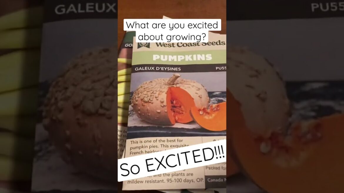 The Seeds have arrived !! Let Gardening Season 2023 start! What are you excited about???