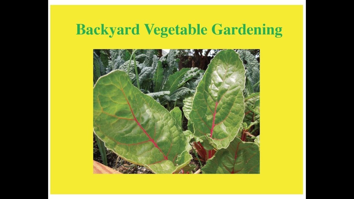 Backyard Vegetable Gardening in Montana Backyard Vegetable Gardening in Montana
