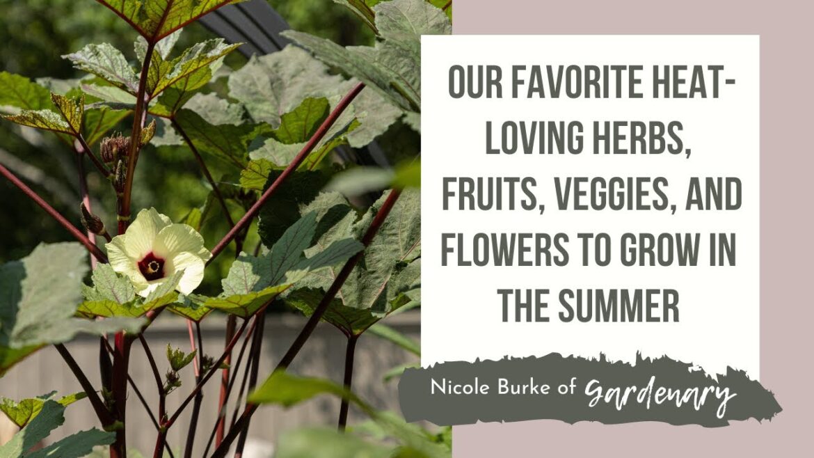 Our Favorite Heat-Loving Herbs, Fruits, Veggies, and Flowers to Grow in the Summer