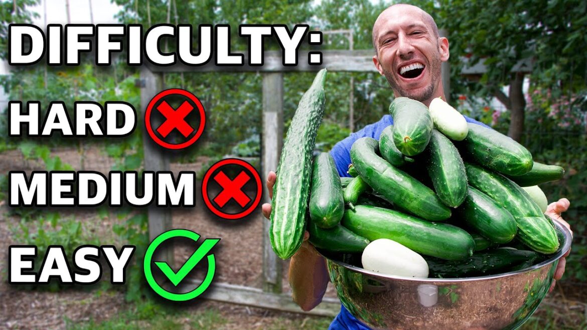 James Prigioni: 10 Crop Varieties to ALWAYS BE GROWING, Garden on Easy Mode! 10 Crop Varieties to ALWAYS BE GROWING, Garden on Easy Mode!