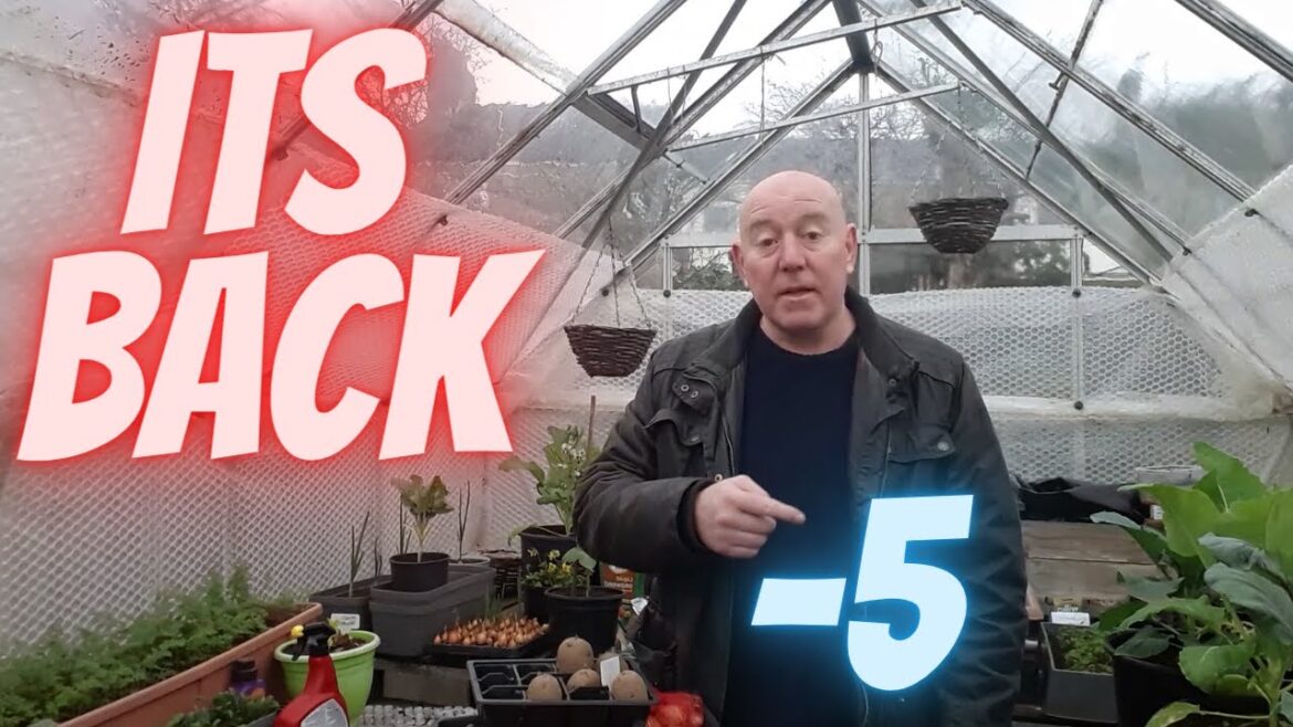 The Artic Blast Is Coming [Gardening Allotment UK] [Grow Vegetables At Home ]