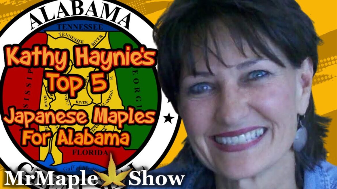 Kathy Haynie’s Top 5 Japanese Maples for Alabama! Kathy Haynie’s Top 5 Japanese Maples for Alabama!