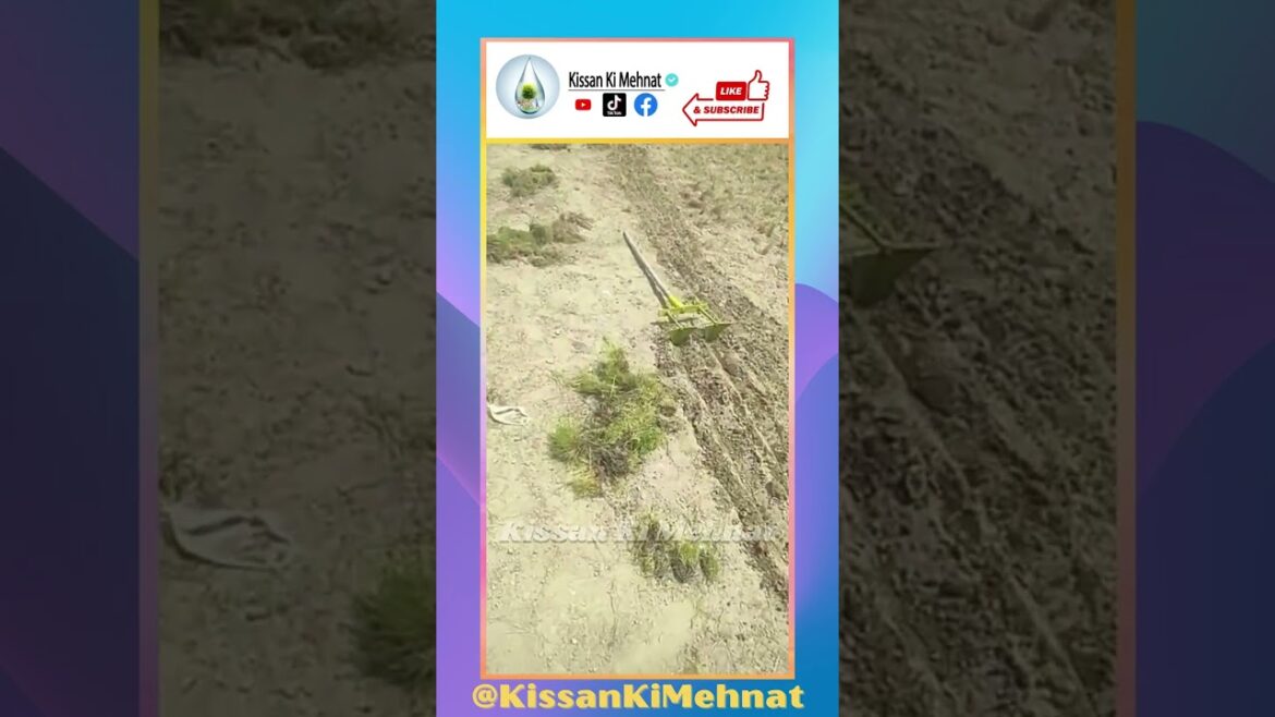 Grow Grass At Home | Gardening Tool |  Agriculture Tool | Excavator Tools