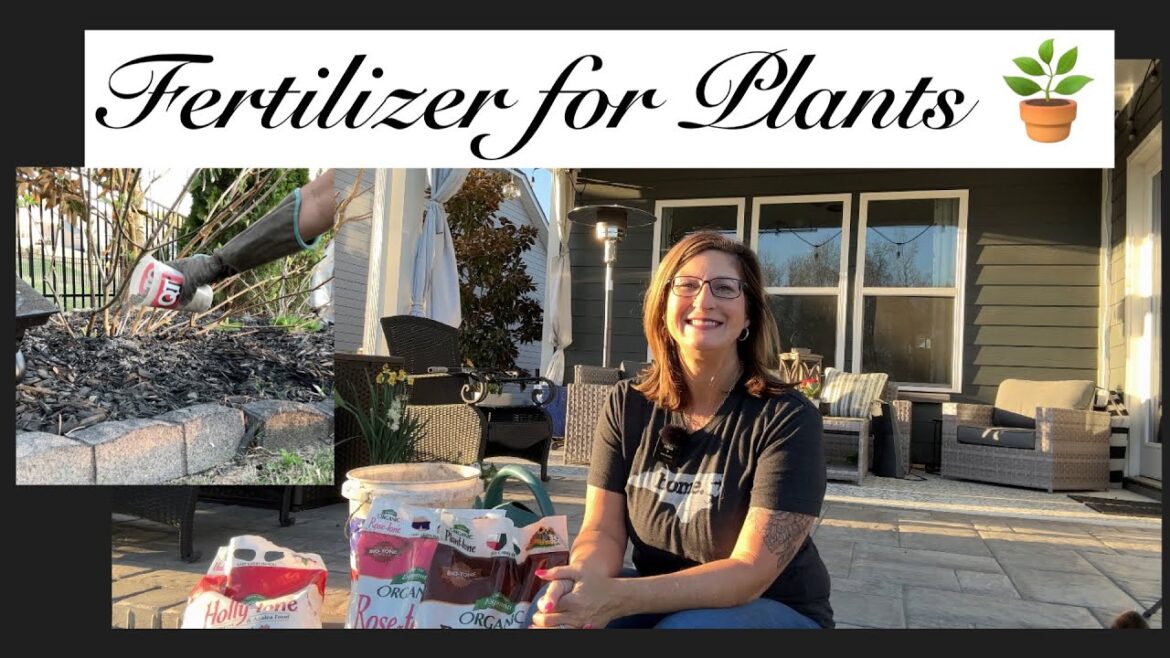 Fertilizer for Plants: Plant Care: Gardening Tips: Organic Fertilizer for Plants