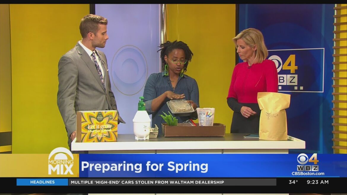 Quontay Turner of Emerald City Plant Shop shares gardening tips