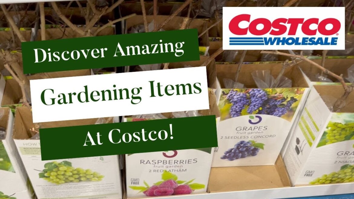 Discover Amazing Gardening Items at Costco!