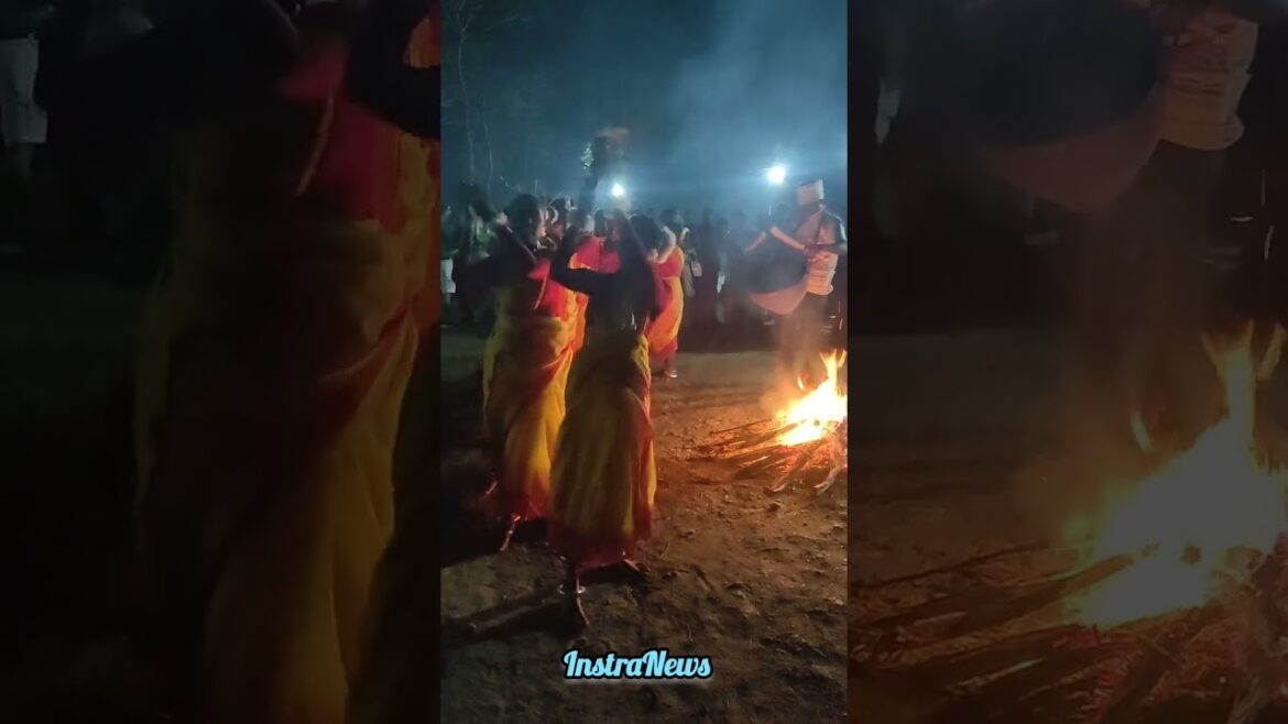 Moonlight Tea Picking #MoonlightTeaPicking #teaculture DooarsTourism #incredibleindia Moonlight Tea Picking #MoonlightTeaPicking #teaculture DooarsTourism #incredibleindia