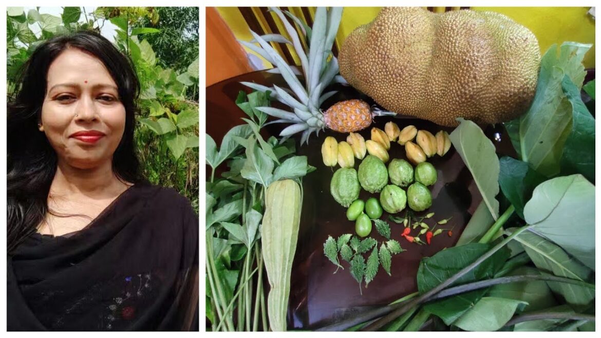 Harvesting Organic Vegetables & Fruits In My Backyard Garden
