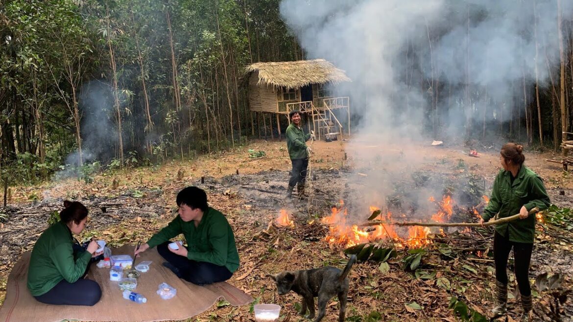 Expanding the farm area for vegetable gardening, visited by his wife,delicious meal,build daily life